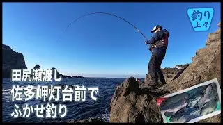田尻漁港から佐多岬灯台前でふかせ釣りをしてきました
