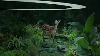 HUAWEI Mate 30 Series- Rethink Darkness