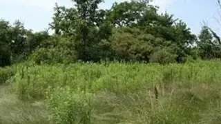 Real estate for sale in Oregon Twp Michigan - MLS# 214037888