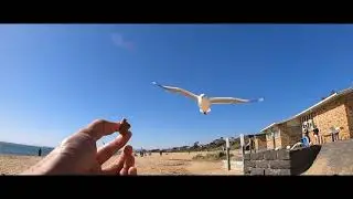 Gopro Hero 8 1080p 240fps slow motion
