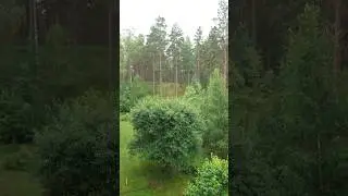 🌧️ It's a real treat in the midst of the sweltering heat 😮&zwj;💨