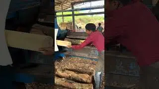 Wood debarking working big machine part 94#agriculture #wooddesigner #woodwork #woodwork