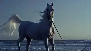 Yaşamak Debelenir İçimde Kıvrak ve Küheylân..