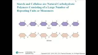Forensic Science (College) - Hairs and Fibers (Chapter 11)