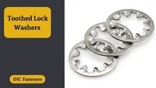 Toothed Lock Washers | DIC | Dedicated Impex Co