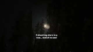 I Saw Something Amazing In The Night Sky!