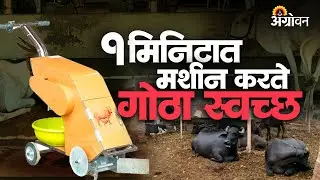 Dung Machine :  २० ते २५ जनावरांचं शेण मशीन गोळा करते एका मिनिटात| Agrowon