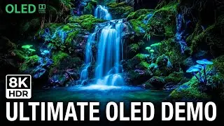 8K HDR That Redefines Visual Brilliance &ndash; Dolby Vision OLED 60FPS