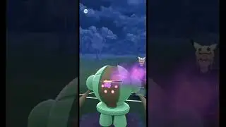 Teamwork to Slay Legendary Pokemon, Registeel