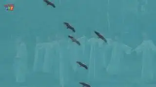 Рагулин Илья и 