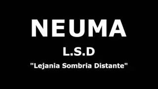 Neuma - L.S.D.