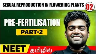 Pre Fertilisation 2| Sexual Reproduction In Flowering Plants 02 | BOTANY in Tamil | Class12/ NEET