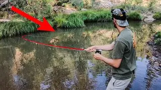 Arizona Trout Fishing! (Tons of Action!)