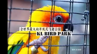 【Travel】KL Bird Park 吉隆坡飞禽公园