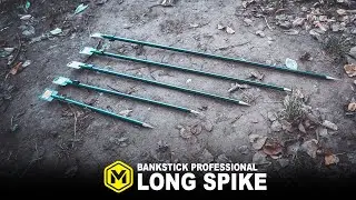 Bankstick Professional Long Spike (DE)