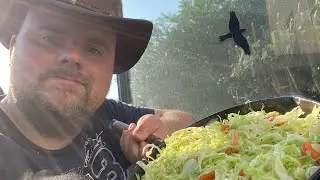 STROHSCHWEIN MIT KOHLPFANNE 🤠🤠🐷🥬