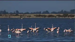 NDALONI AEROPORTIN!