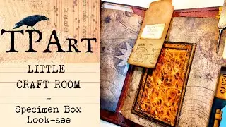 Specimen boxes for junk journals, quick look-see