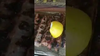 🍋 🔥You have NEVER Seen greek Food like this 🥙 🫒 🧀 🍋 🔥