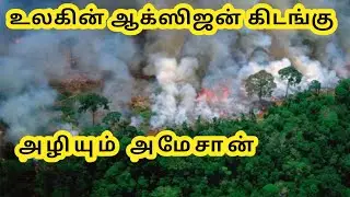 Amazon Rain Forest Fire &bull;|Tamil&bull;| #SaveAmazonRainForest