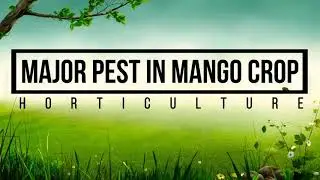 Mango Tree's Pest & Their Controls