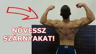 Tanácsok hát és bicepsz edzéséhez (nem csak kezdőknek!)