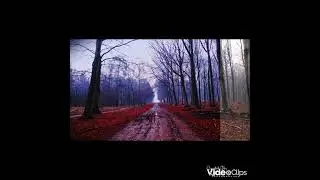 COLOR CHANGING Moments!  | Color Transformations in Editing #colorchange #editingmagic #videoclips