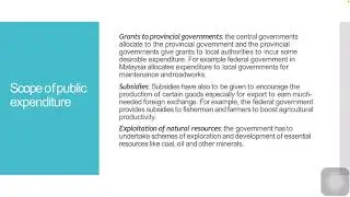 Chapter 4: Public Expenditure - Scope & Role