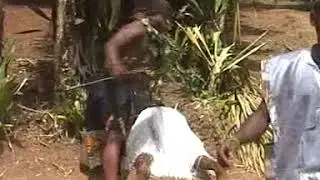 Binde Juju Dance Group Aghem Wum, Cameroon
