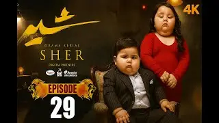 Sher Drama New Episode 24 | Ai Baby Version | Tiny Twists