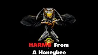 HARMS Honey Bees CAN Cause To The LIVES Of Humans