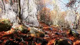 the Miracle of Kladnitsa