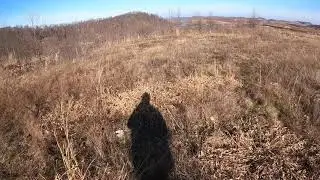 Rabbit hunting 2021 at its finest