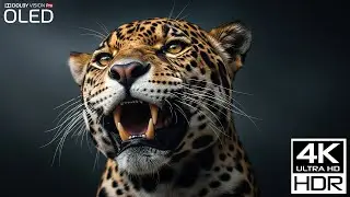 Animals Relax Music 🌿 Nature Calm + Cute Animals For Sleep | Nature Relax