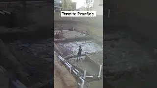 Termite Treatment Basment #construction #protection