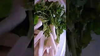 Vegan Korean Young Radish Kimchi - How to Make