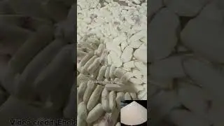 One of the largest GARRI processing plant in Nigerian today.  #nigeria #garri  #cassavaprocessing