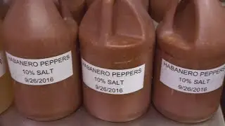 It's National Hot Sauce Day! Here's a look at spicy sauces from Maine