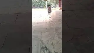 @ViralADDAPro  #GauriGaane