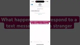How stranger texts try to trick people, and what you should do to avoid getting scammed ￼
