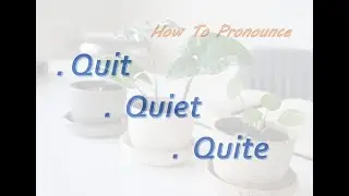 The Pronunciation Of 🎙️ _ QUIT _ QUITE _ QUIET 🗣️