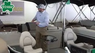 Sylvan Mirage 8522 Party Fish 4.0 Walkthrough