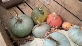 Homegrown Pumpkin, Rainy Day Soup. Make-Do Homemaking in a UK Suburban Council House Homestead.