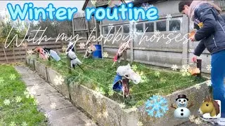 ❄️Winter routine❄️ with my hobby horses 🐴⛄️🤍