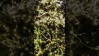 Christmas Lights Trinity Shopping center Leeds 2023