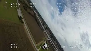 TBS (Team Blacksheep) Chupito Maiden