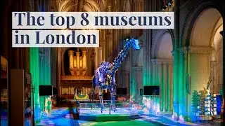 The top 8 museums in London | blooloop