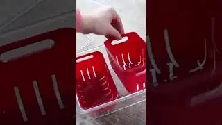 An Organized Fridge with Less Waste (Fridge Hacks)