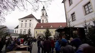 Austria's economy looks confident despite political division - economy