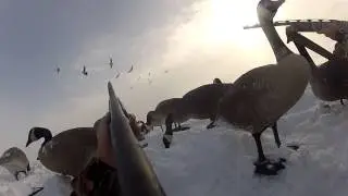 Hunting geese after a early November snow storm in Western, Mn